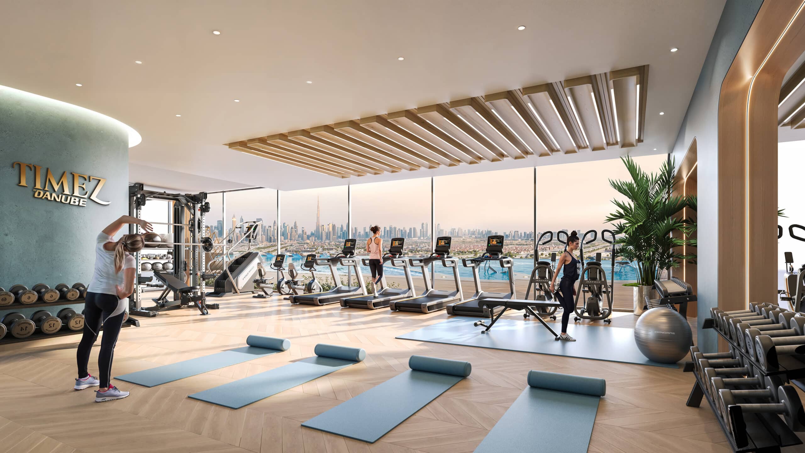 Danube Timez Gym