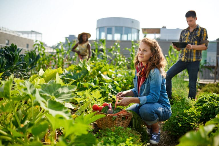 swank lua residences community garden