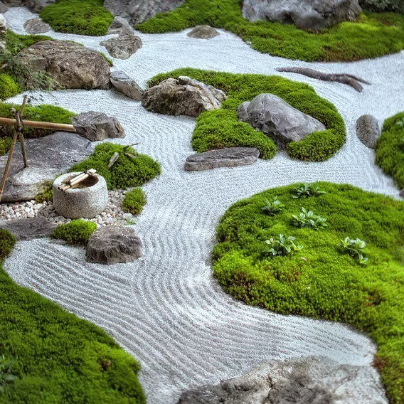 zen garden