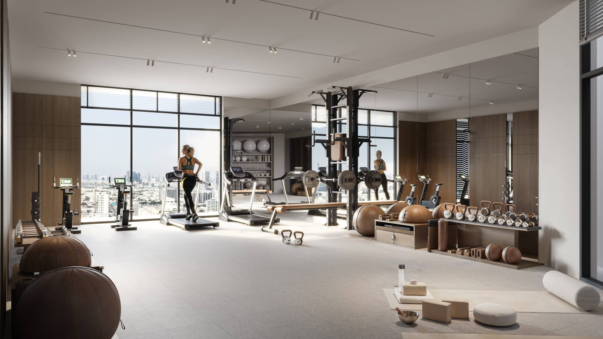VERDAN1A2_Gym