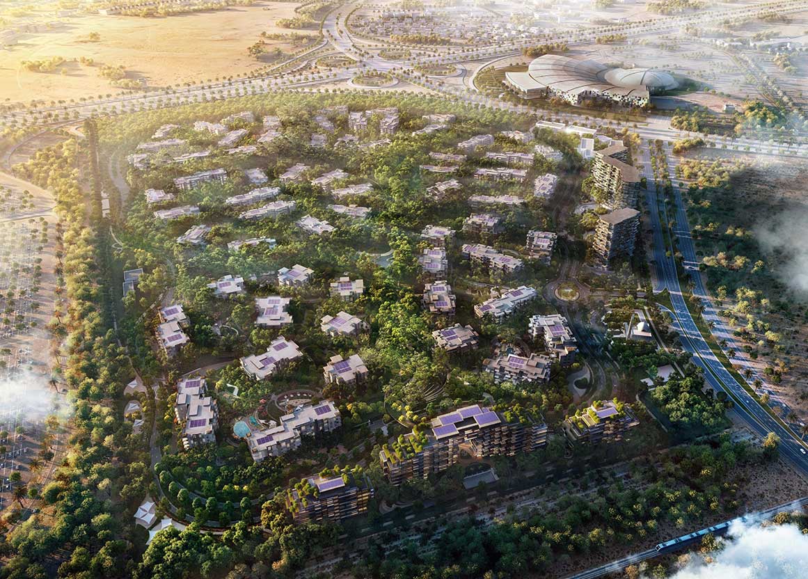 Ghaf-Wood-Dubailand