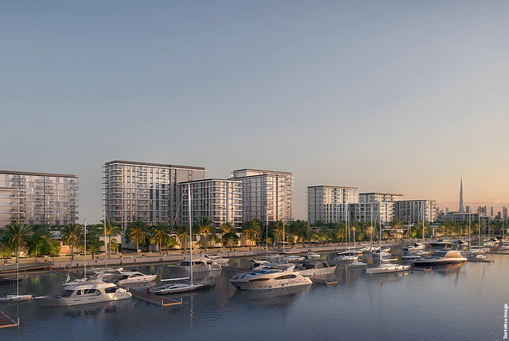 serra-2-at-mina-rashid