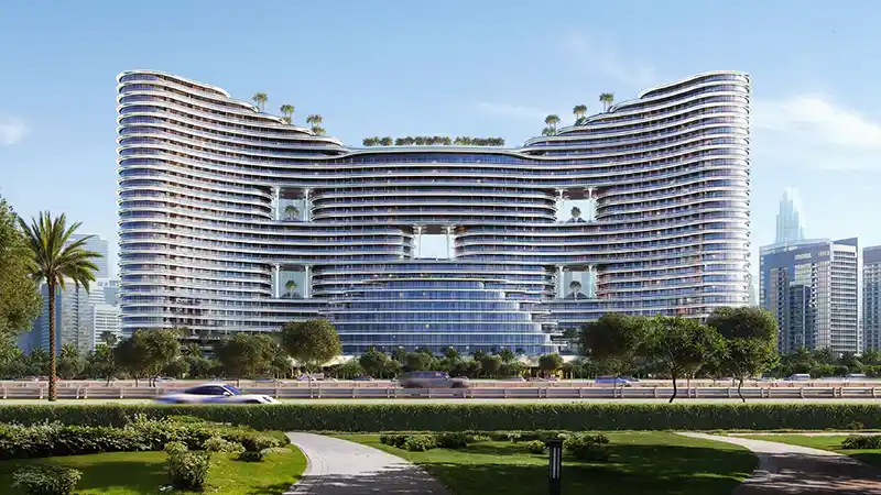 Binghatii properties