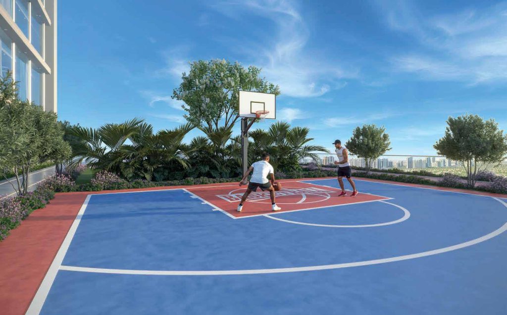 Aspirz Basketball Court