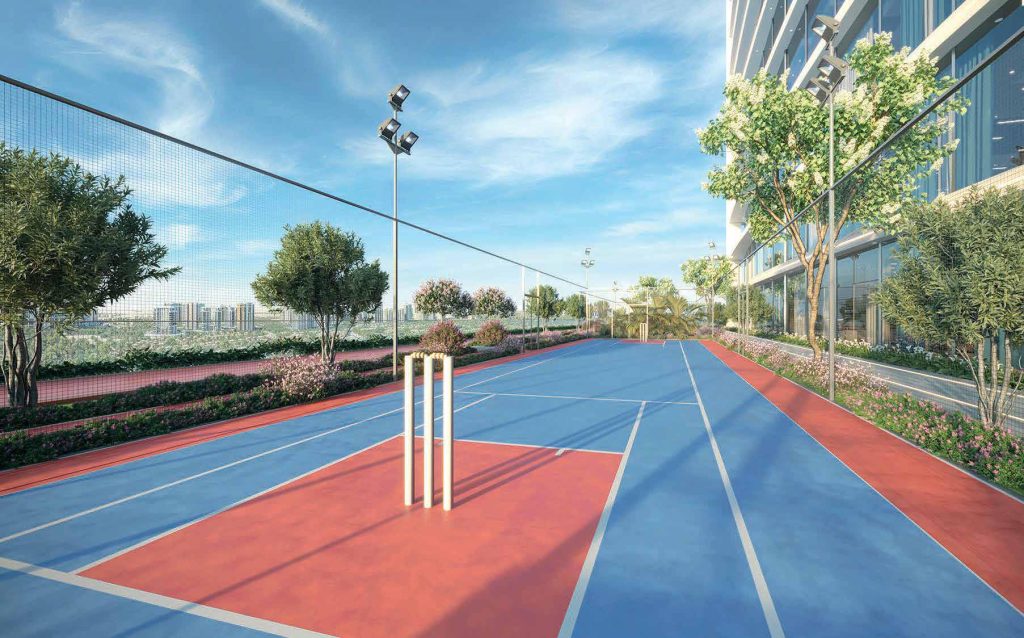 Aspirz Cricket Pitch