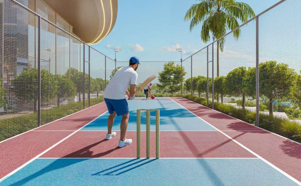Serenz Cricket Pitch
