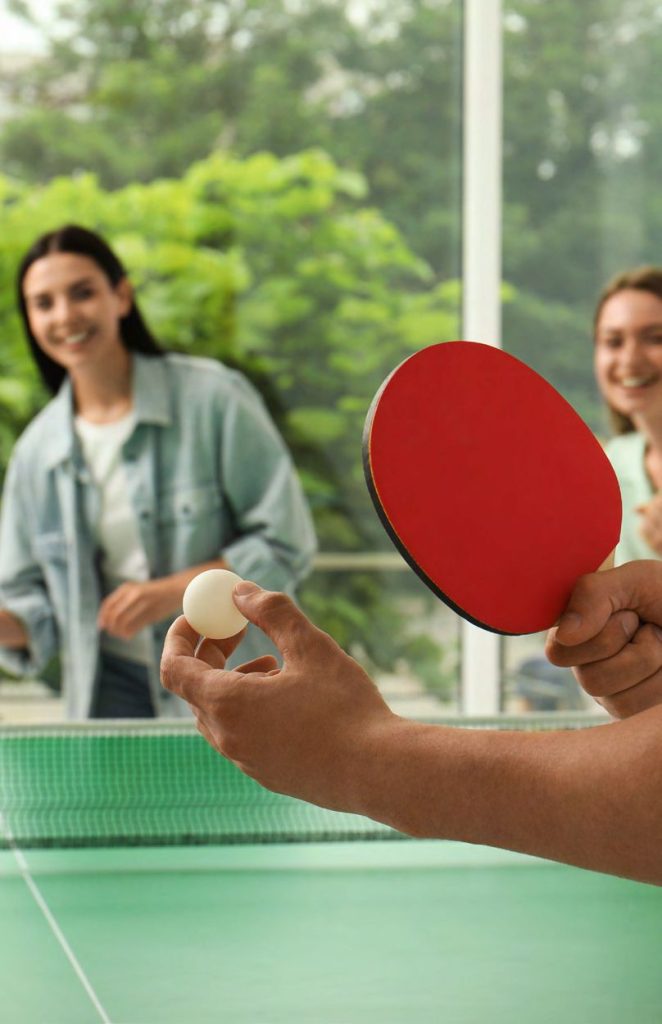 The Breez Table Tennis